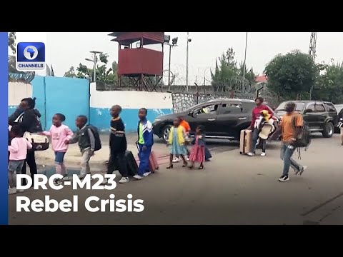 Thousands Flee As M23 Rebels Claim Control Of Goma City + More | Network Africa