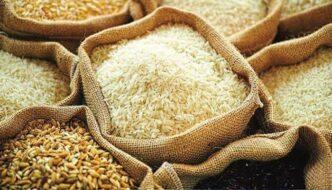 Rice Price Surge Looms in Nigeria: 55% Increase Predicted for 2025