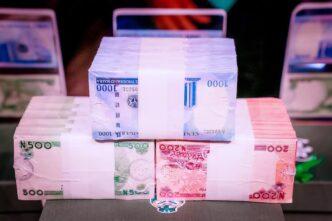 Businesses Brace for Prolonged Naira Weakness, Anticipate Potential Rebound by Mid-2025, CBN Survey Reveals