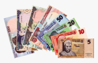 Naira Sinks Below ₦1,650/$: What’s Behind the Decline and What’s Next?