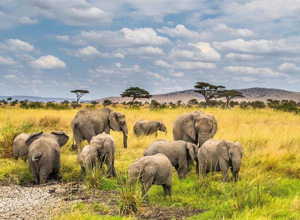 Nyerere National Park in Tanzania ranked among Africa’s best safari parks