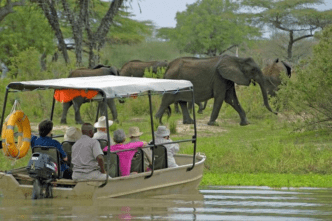 Nyerere National Park Earns Spot Among Africa’s Top Safari Destinations