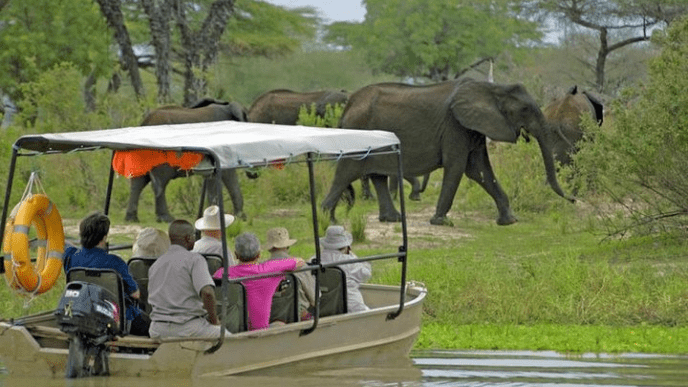 Nyerere National Park Earns Spot Among Africa’s Top Safari Destinations