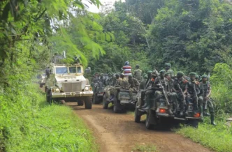 ADF Attack in DRC Leaves 10 Dead, Villagers Abducted