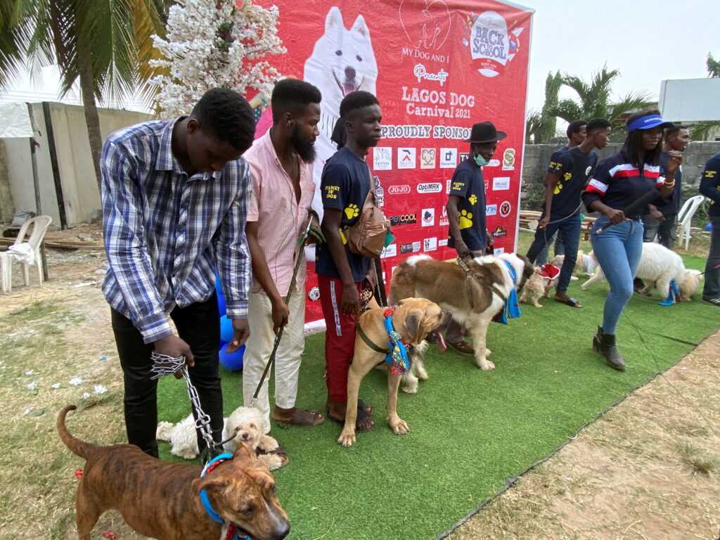 third and last edition of dog carnival in lagos for the year 2024