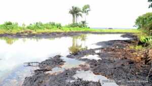 Oil Spills Devastate Southern Nigeria Communities, Threatening Livelihoods