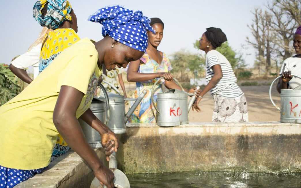 Water Valorisation: Senegal’s Agriculture Gets a €55 Million Investment Boost