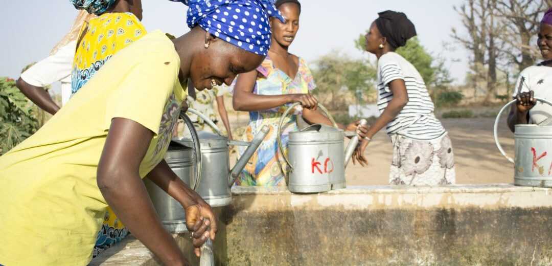 Water Valorisation: Senegal’s Agriculture Gets a €55 Million Investment Boost