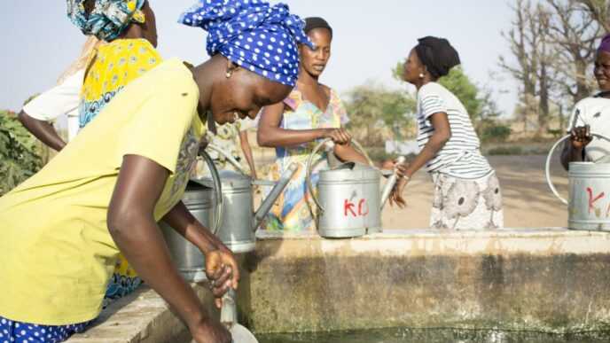 Water Valorisation: Senegal’s Agriculture Gets a €55 Million Investment Boost