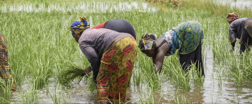 AfDB Senegal Water Project