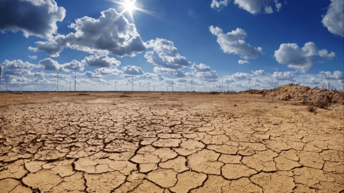 2024 Heat Records Raise Alarms: UN Warns of Irreversible Climate Risks