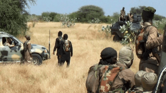 At Least 40 Farmers Killed in Jihadist Attack in Borno State, Nigeria