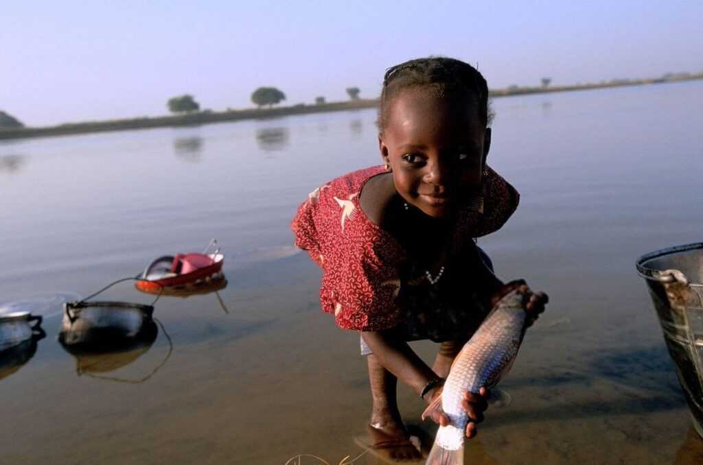 niger becomes first african nation to eliminate onchocerciasis