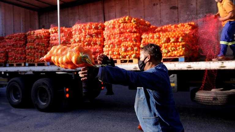 Trump Tariffs Threaten 35,000 Citrus Jobs in South Africa