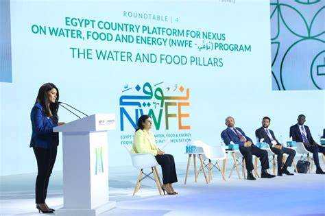 nfwe credits moic