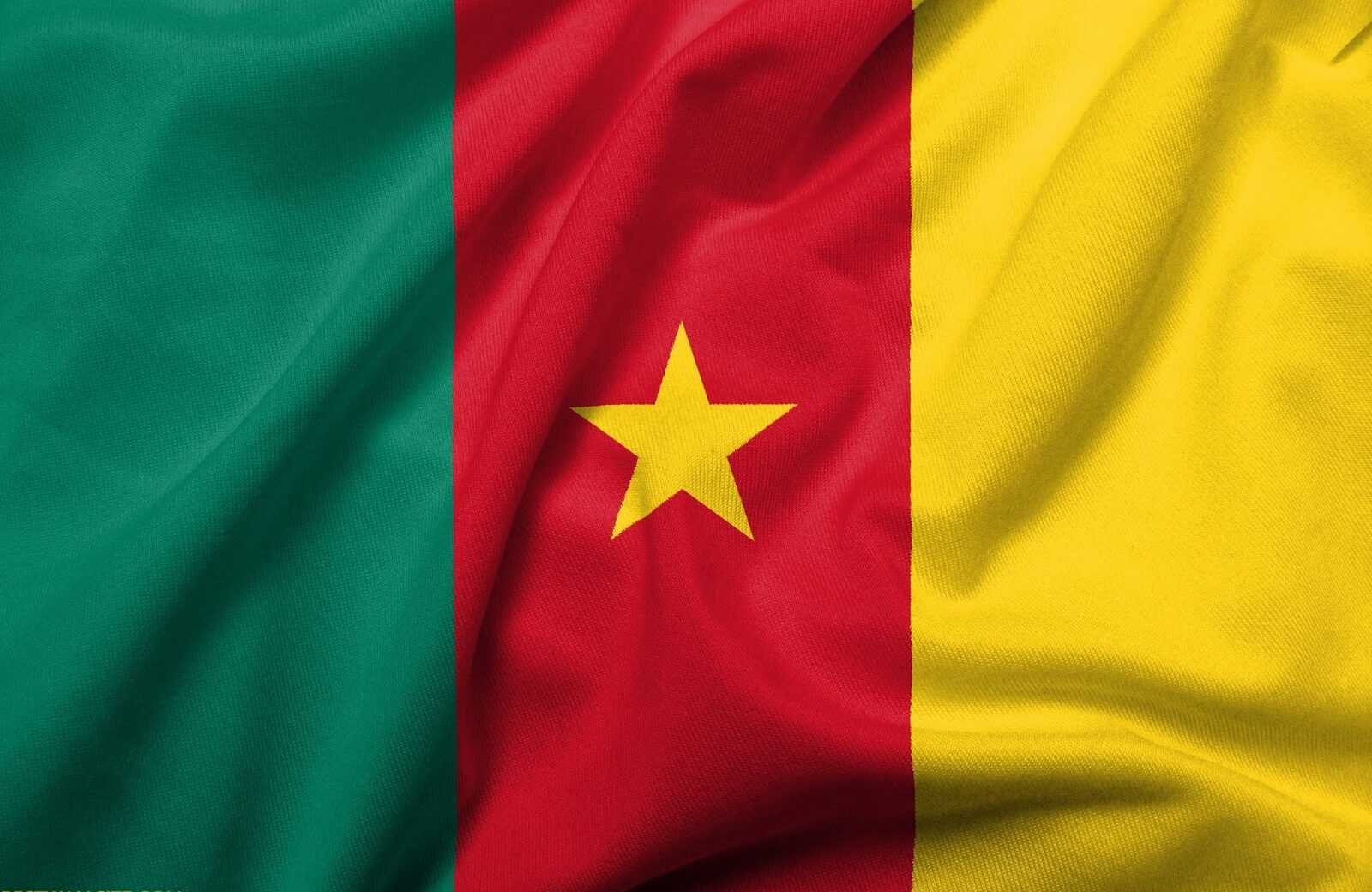 Flutterwave Secures Central Bank License to Power Digital Payments in Cameroon