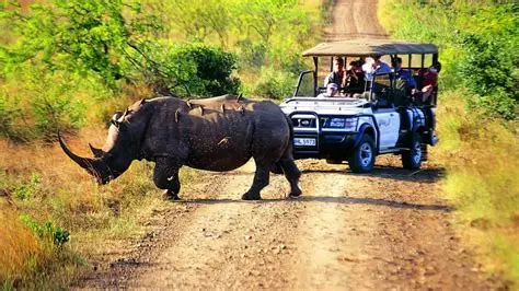 hluhluwe imfolozi park. credits africarepublic