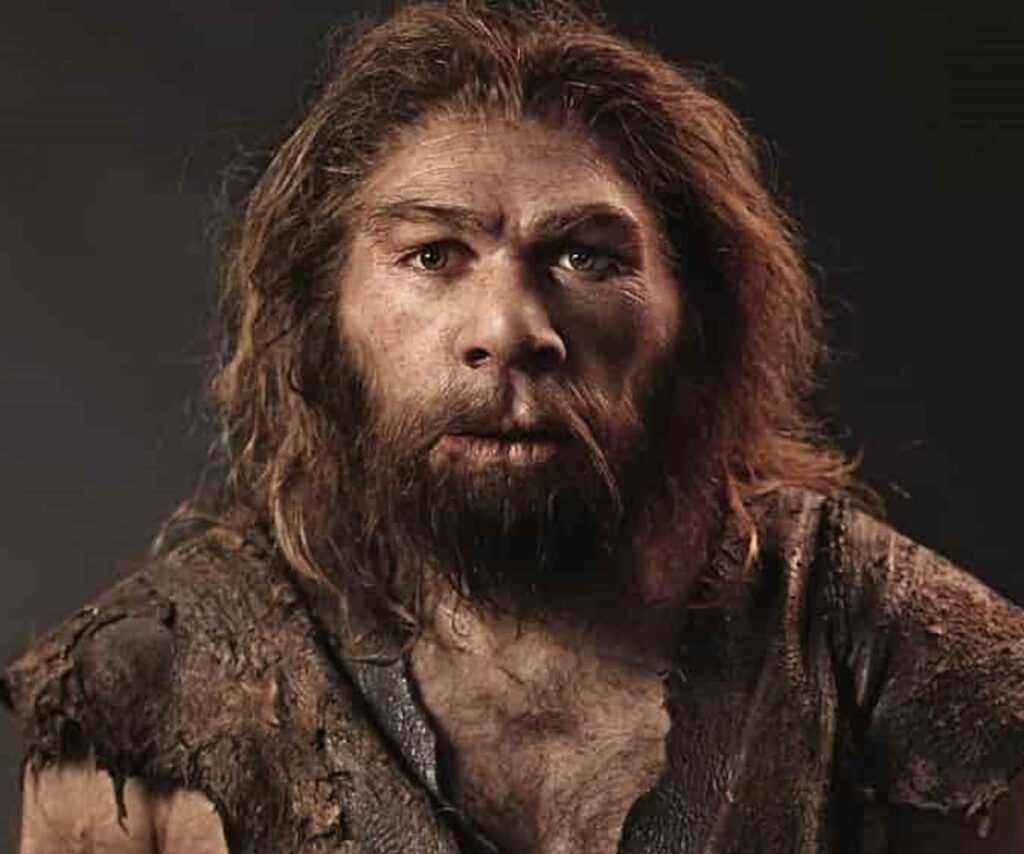 homo sapiens credits volcanic times