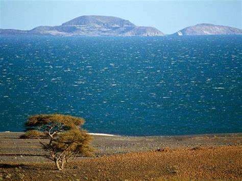 lake turkana credits trip my city