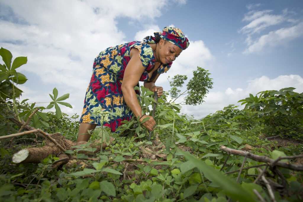 nigerian farmers credits borgermagazine