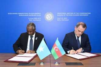 Somalia and Azerbaijan Strengthen Ties During OIC Summit in Istanbul