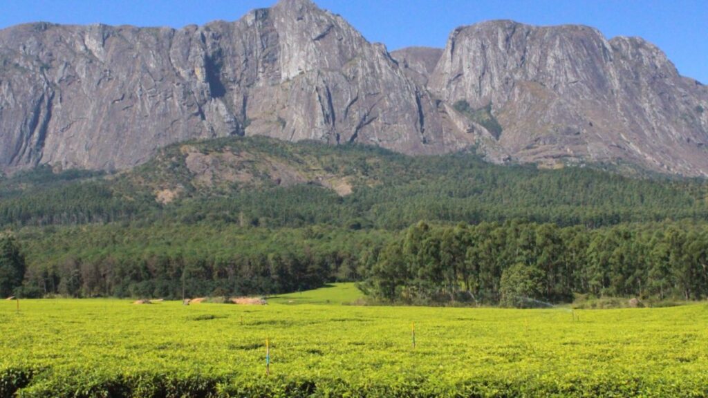 mount mulanje credits msn