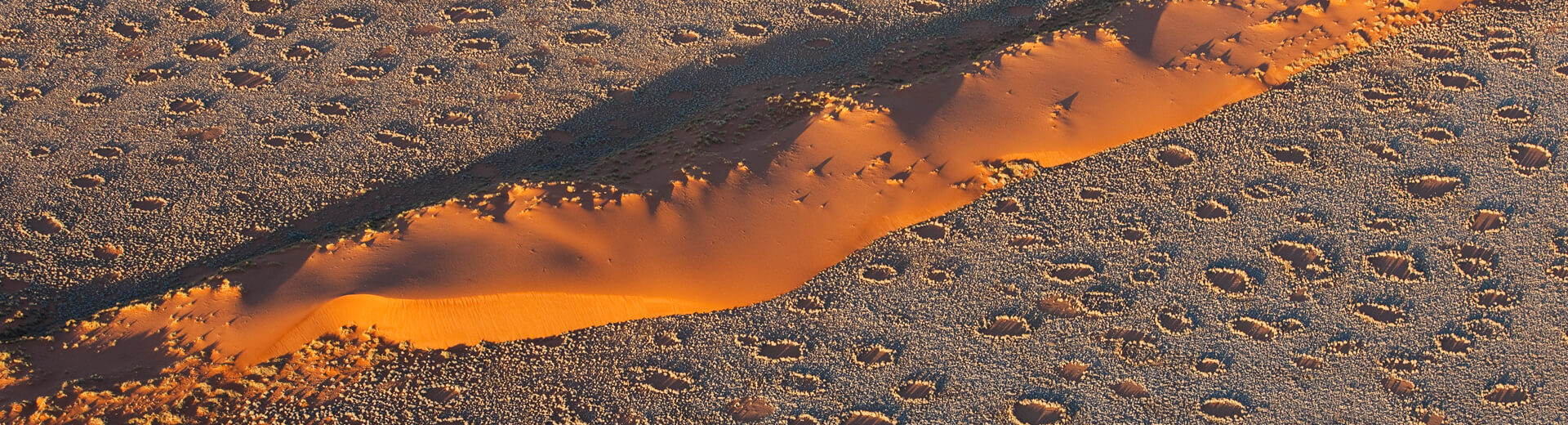 Where Nature Draws Circles: The Mystery of Namibia’s Fairy Circles