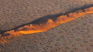 Where Nature Draws Circles: The Mystery of Namibia’s Fairy Circles