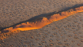 Where Nature Draws Circles: The Mystery of Namibia’s Fairy Circles